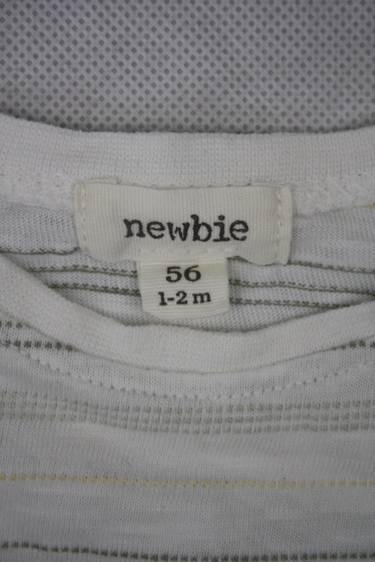 Body / Newbie / 56