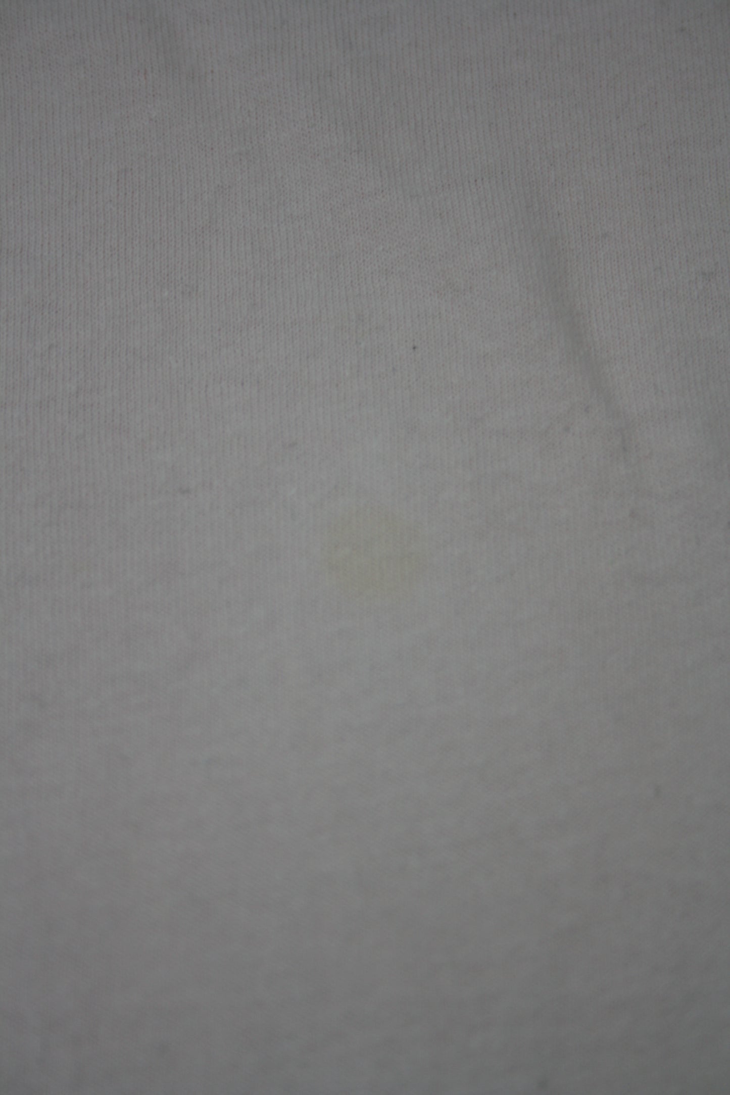 T-shirt / Zara / 110